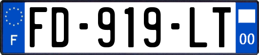 FD-919-LT