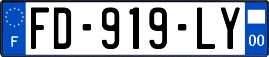 FD-919-LY