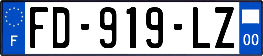 FD-919-LZ