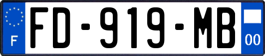 FD-919-MB