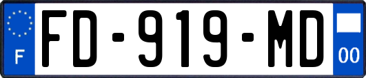 FD-919-MD