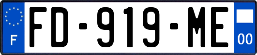 FD-919-ME
