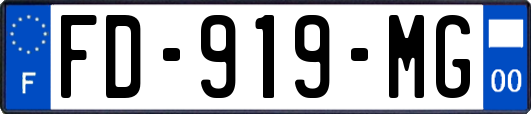 FD-919-MG