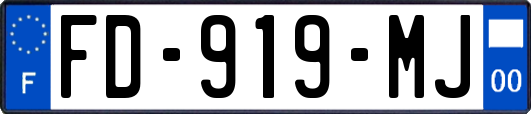 FD-919-MJ