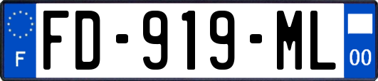 FD-919-ML