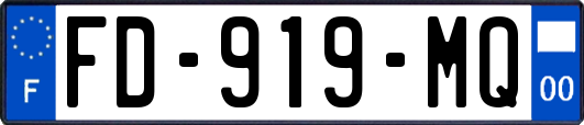 FD-919-MQ