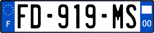 FD-919-MS
