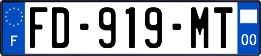 FD-919-MT