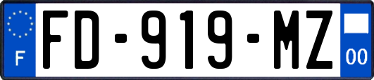 FD-919-MZ