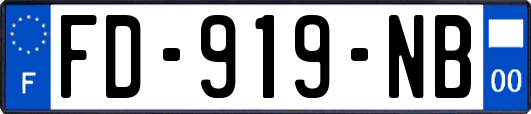 FD-919-NB
