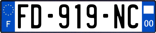 FD-919-NC