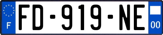 FD-919-NE