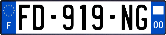 FD-919-NG