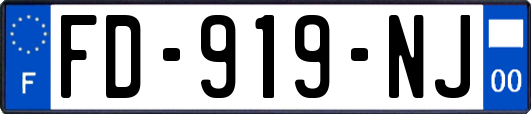 FD-919-NJ