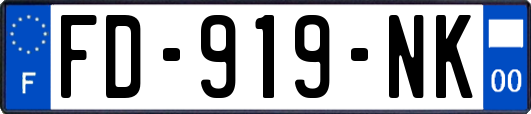 FD-919-NK