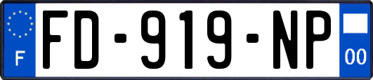 FD-919-NP