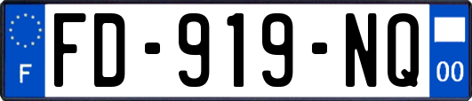 FD-919-NQ