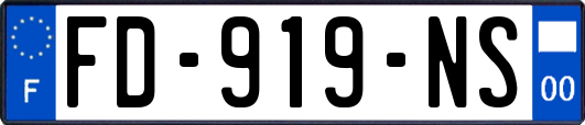 FD-919-NS