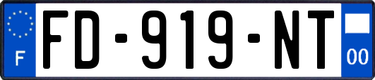 FD-919-NT