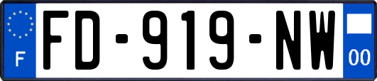 FD-919-NW