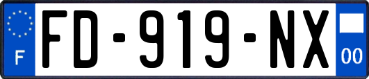 FD-919-NX