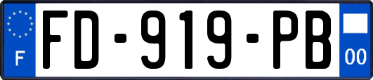 FD-919-PB