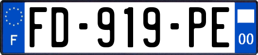 FD-919-PE