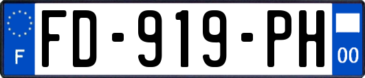 FD-919-PH