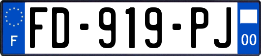 FD-919-PJ