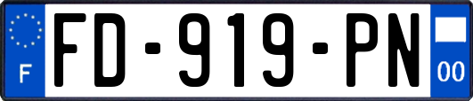 FD-919-PN