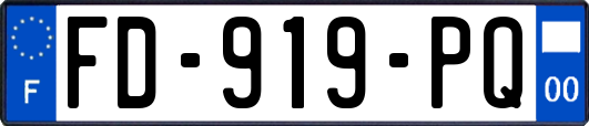 FD-919-PQ