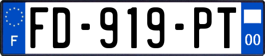 FD-919-PT
