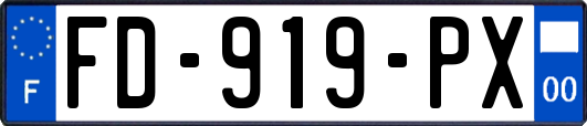 FD-919-PX