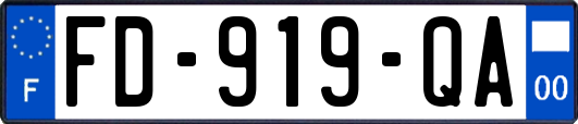 FD-919-QA