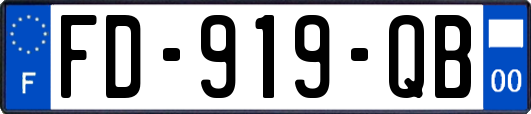 FD-919-QB