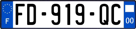 FD-919-QC