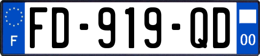 FD-919-QD