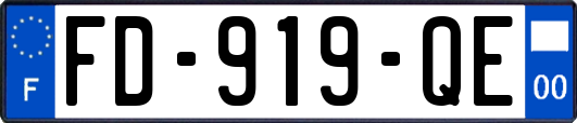FD-919-QE