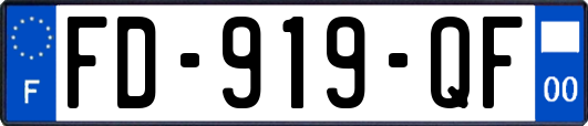 FD-919-QF