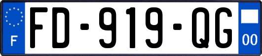 FD-919-QG