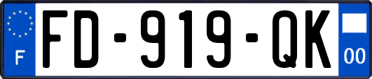 FD-919-QK