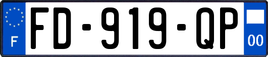 FD-919-QP