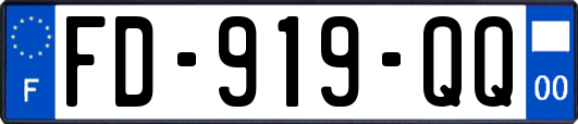FD-919-QQ