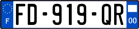 FD-919-QR