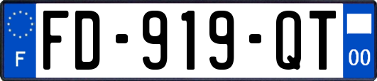 FD-919-QT