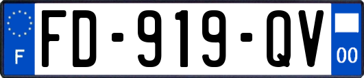 FD-919-QV