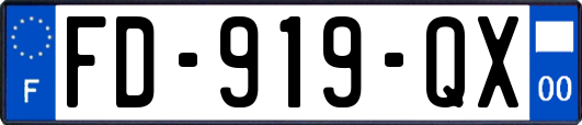 FD-919-QX