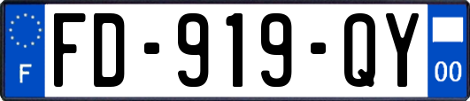 FD-919-QY