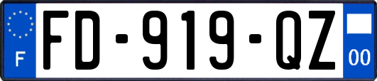 FD-919-QZ