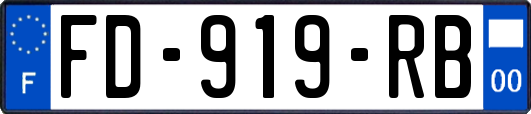 FD-919-RB